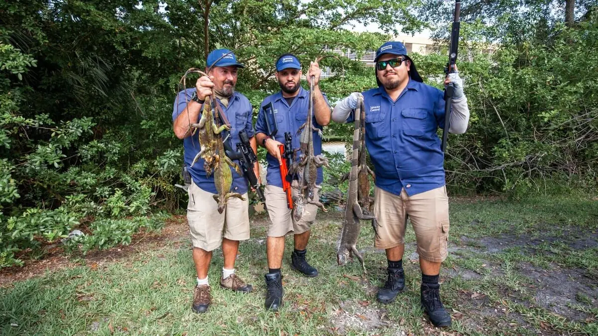 Dirty Jobs Chirurgien de guerre et chasseur d'iguanes