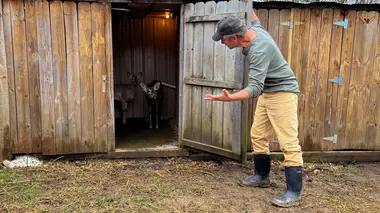 Dirty Jobs Collecteur d'urine de cerf et nécropsie