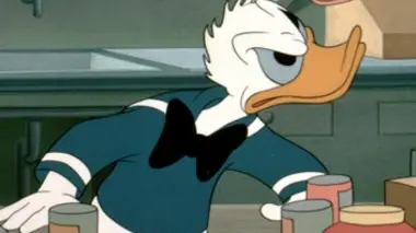 Donald garde-champêtre