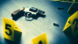 Disney's Fairy Tale Weddings: Holiday Magic