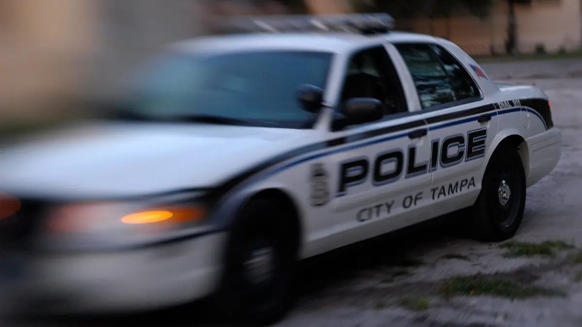 Disparus Royal Daniel: secrets royaux