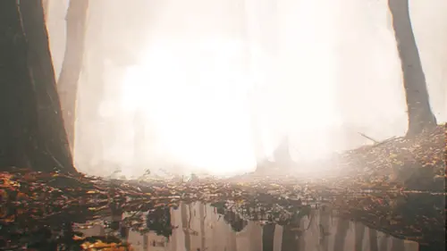 Disparus Le voyage secret