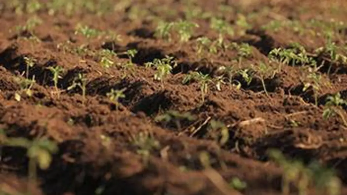 Dix milliards de personnes sur terre