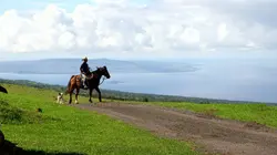 Doc Shot  Hawaï, l'archipel le mieux gardé d'Amérique