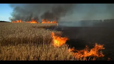 Le blé. L'autre arme de Poutine