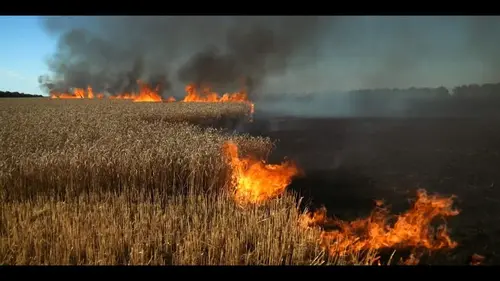 Doc Shot Le blé. L'autre arme de Poutine