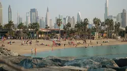 Doc Shot  MBZ, la face cachée des Emirats arabes unis