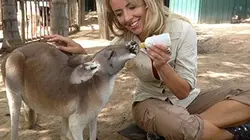 Sur Animaux à 20h10 : Docs à Busch Gardens