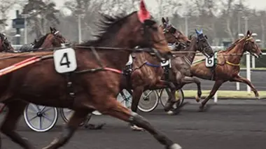 Invisible : Equitation, le trot
