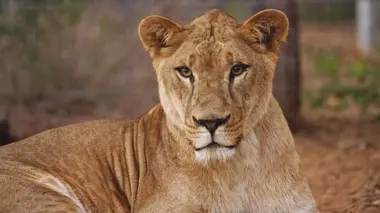 Jan et Tim, un merveilleux spectacle