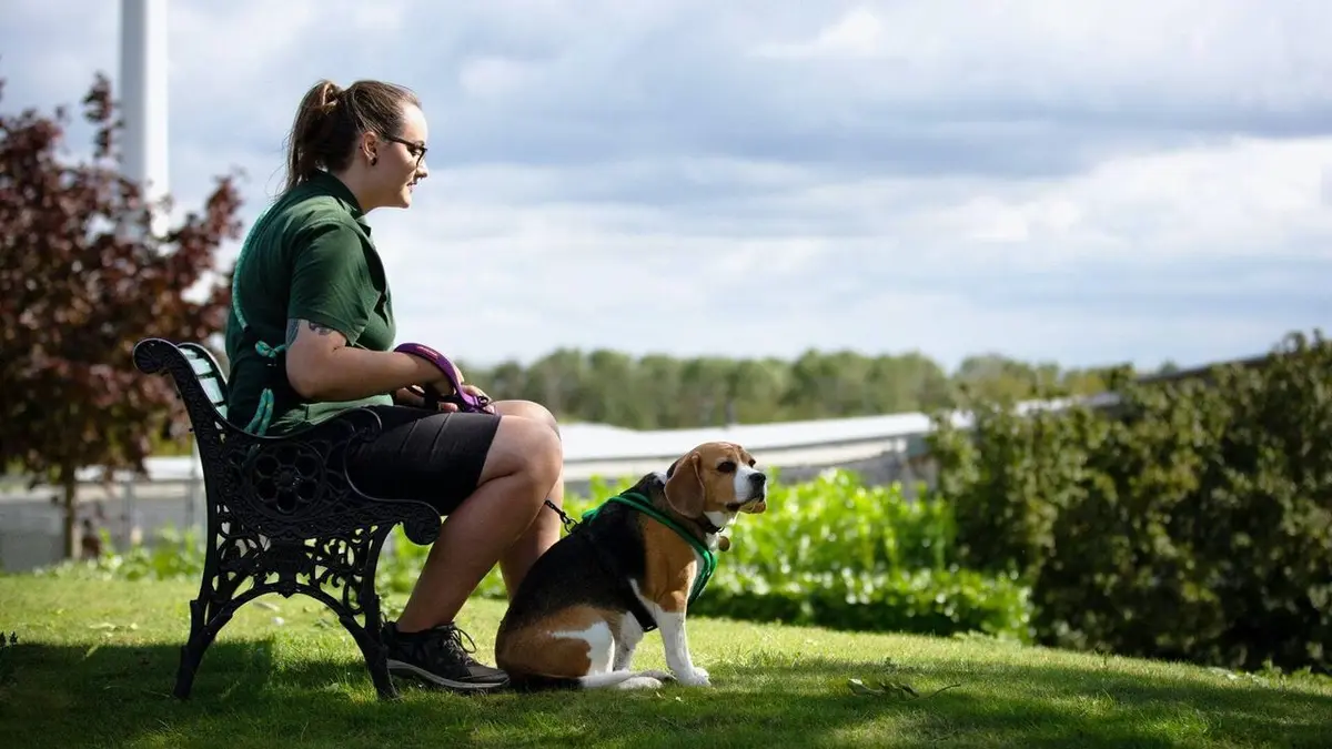 Dog House : un chien pour la vie Prêcher pour sa paroisse