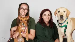 Dog House : un chien pour la vie