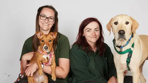 Dog House : un chien pour la vie