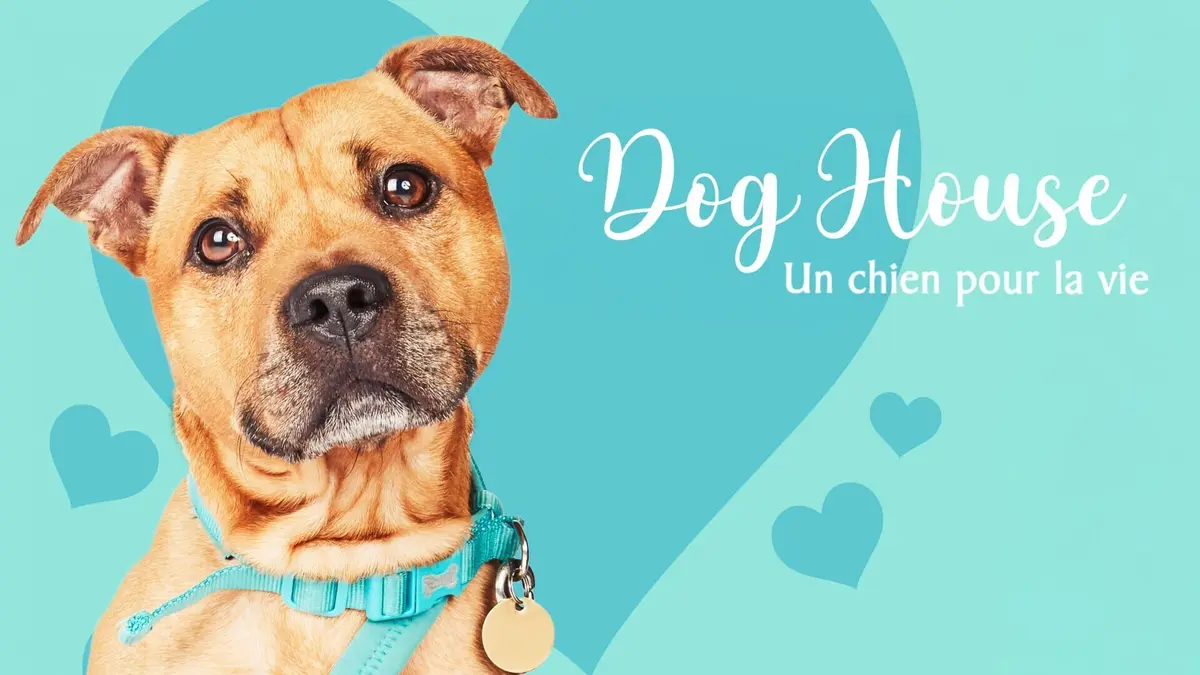 Dog House : un chien pour la vie Dog House : un chien pour la vie 3
