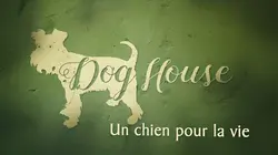 Dog House : un chien pour la vie Touche pas à mes affaires