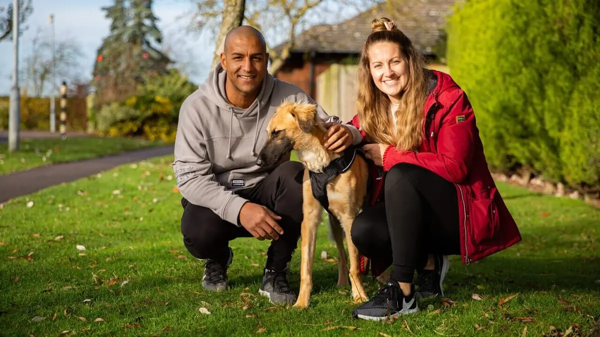 Dog House : un chien pour la vie C'est un signe !