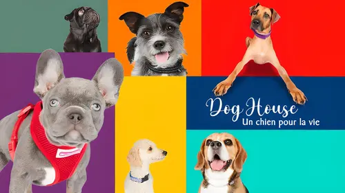 Dog House : un chien pour la vie Premier baiser