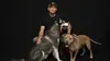 Dog Impossible : Seconde chance