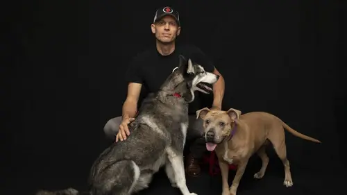 Dog Impossible : Seconde chance