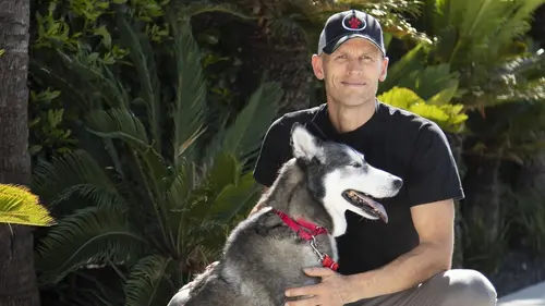 Dog Impossible : Seconde chance Au bord de la catastrophe