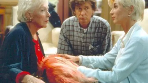 Doggy Bag en streaming