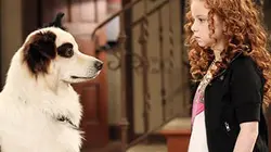 Doggyblog S03E17 La dispute