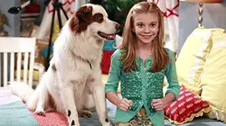 Doggyblog S02E01 La rentrée