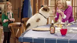 Doggyblog S01E09 Le silence de Stan