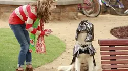 Doggyblog S01E08 Le concours de maths