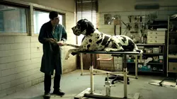 Dogman