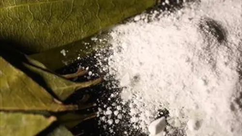 Dollars noirs E01 Le trafic de cocaïne