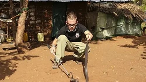 Dominic Monaghan dans la nature S02E01 Le cobra cracheur géant du Kenya