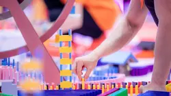 Domino Challenge : la folie continue