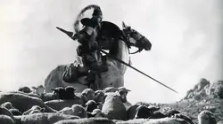 Don Quichotte