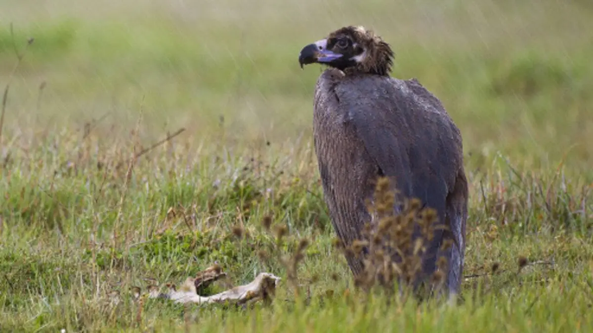 Dormir pour survivre