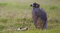 Dormir pour survivre