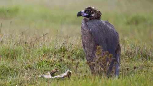 Dormir pour survivre