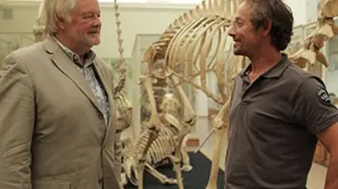 Le yéti de l'Himalaya