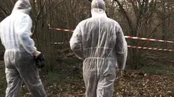 Visuel de Dossiers criminels