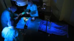 Dossiers surnaturels S01E02 Ils sont revenus de la mort