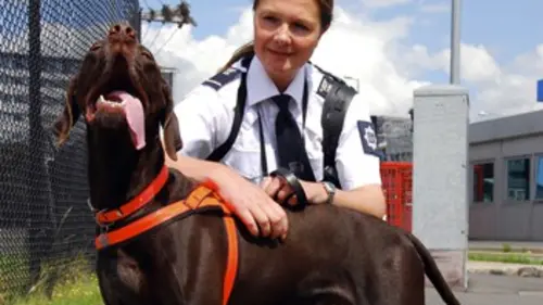 Douanes à l'anglaise E06