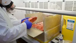 Douanes sous haute surveillance