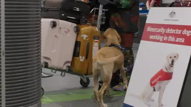 Douanes sous haute surveillance