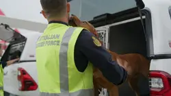 Douanes sous haute surveillance