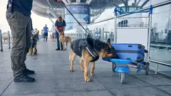 Douanes sous haute surveillance