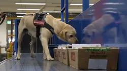 Douanes sous haute surveillance