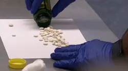 Douanes sous haute surveillance Positif malgré lui