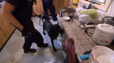 Douanes sous haute surveillance