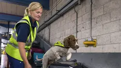 Douanes sous haute surveillance