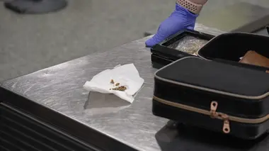 Douanes sous haute surveillance